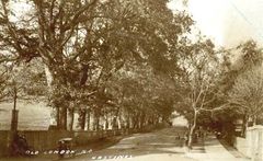 Old-London-Road.-c1890.